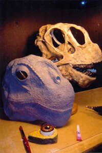 Baby Camarasaurus